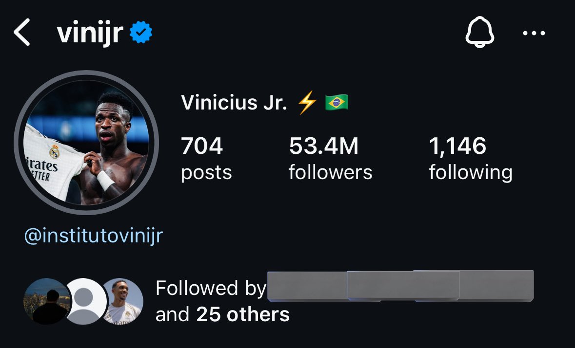 Vinicius changed his profile picture

Can you idiots calm down now? 👍