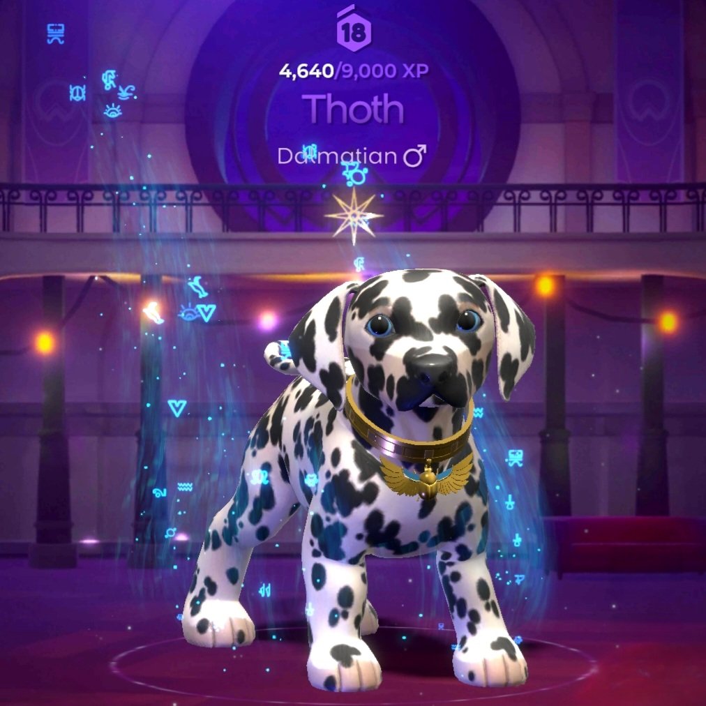 <a href="/Dogami/">DOGAMÍ</a> <a href="/Gate_io/">Gate.io</a> #saveDogami #adoptDogami #NFTCommunity #web3 #Crypto #Blockchain #AbstractChain #Investment #ElonMusk #Dogs #DogsofX
<a href="/aussiesdointhgs/">Aussies Doing Things</a> <a href="/dogcelebration/">CelebrationOfDogs</a>