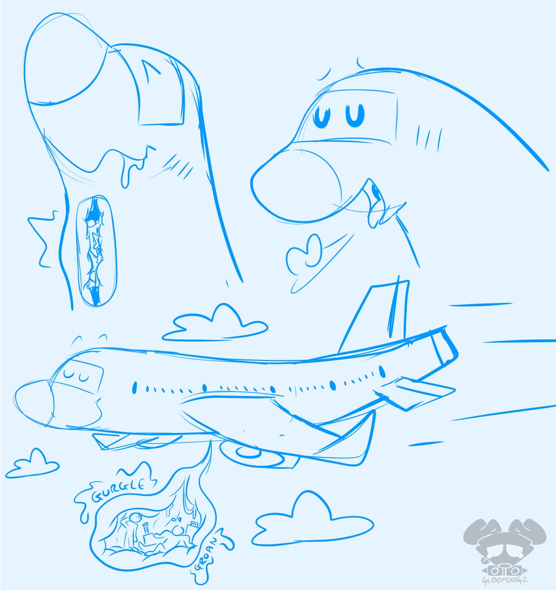 Cheap tickets mean flying in baggage