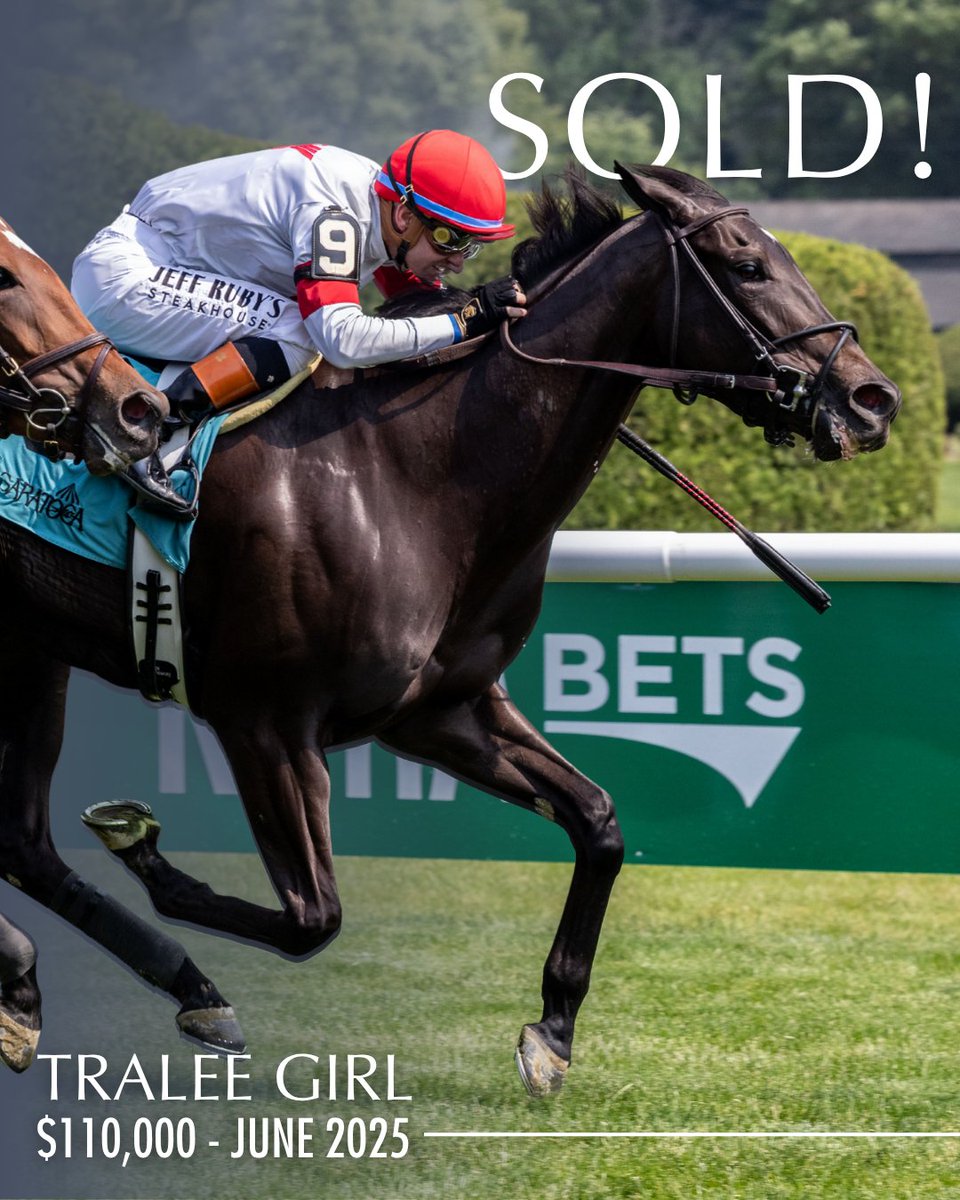 Inglis Digital USA (@inglisdigitalus) on Twitter photo SOLD! 🏷 Tralee Girl sells in the June Inglis Digital USA Sale for $110,000 to James Ensom.
Congratulations and best of luck to the new connections! 🏆
#InglisDigitalUSASold
<a href="/miguelmclement/">Miguel Clement</a> SOLD! 🏷 Tralee Girl sells in the June Inglis Digital USA Sale for $110,000 to James Ensom.
Congratulations and best of luck to the new connections! 🏆
#InglisDigitalUSASold
<a href="/miguelmclement/">Miguel Clement</a>