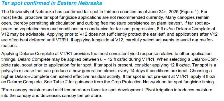 Channel_SD's tweet photo. Here's a Tar Spot update from Bayer Crop Protection team out of Nebraska. Put an action plan together before TS arrives! This update offers good insight as to growth stage, timing, & dosage when using #delarocomplete to treat TS. @BayerCropProUS @ChannelSeed https://t.co/iqpwGz5BIu