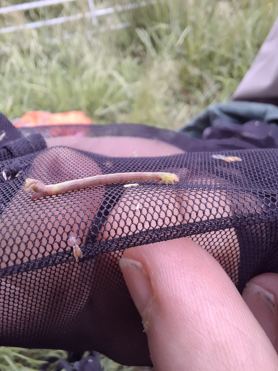 Tara Okon tweet media