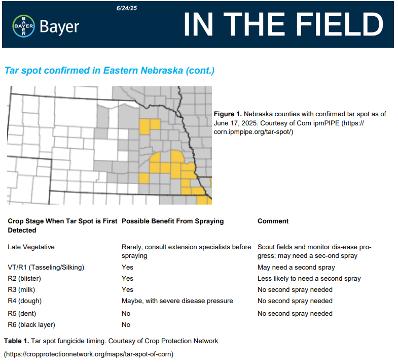 Channel South Dakota (@channel_sd) on Twitter photo Here's a Tar Spot update from Bayer Crop Protection team out of Nebraska. Put an action plan together before TS arrives! This update offers good insight as to growth stage, timing, & dosage when using #delarocomplete to treat TS. <a href="/BayerCropProUS/">Bayer Crop Protection U.S.</a> <a href="/ChannelSeed/">Channel Seed</a> Here's a Tar Spot update from Bayer Crop Protection team out of Nebraska. Put an action plan together before TS arrives! This update offers good insight as to growth stage, timing, & dosage when using #delarocomplete to treat TS. <a href="/BayerCropProUS/">Bayer Crop Protection U.S.</a> <a href="/ChannelSeed/">Channel Seed</a>