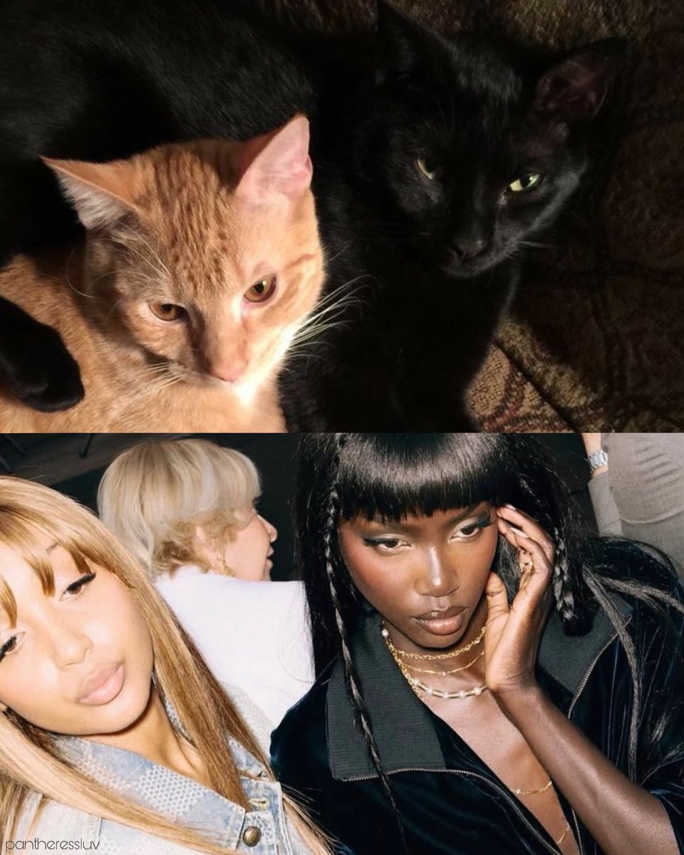 pinkpantheress source (@pantheressluv) on Twitter photo 