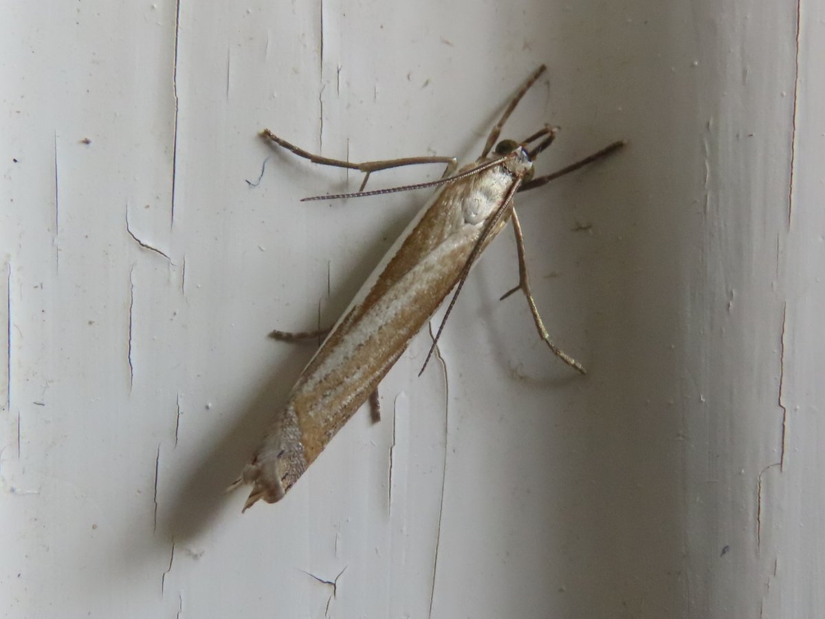 John Hayward tweet media