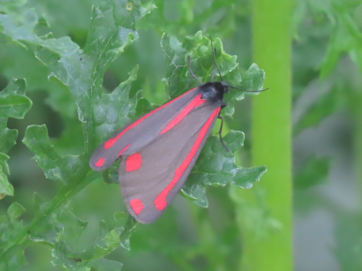 John Hayward tweet media