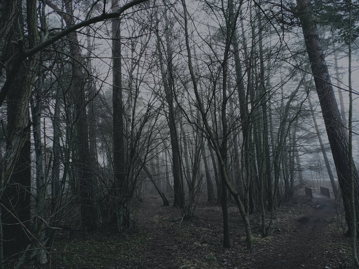 "Джо взаперти", отрывок:

Если бы Джо и посчастливилось отыскать компас в странном доме, где он проснулся как-будто-девятого вроде-бы-сентября, стрелка прибора не указывала бы на север.