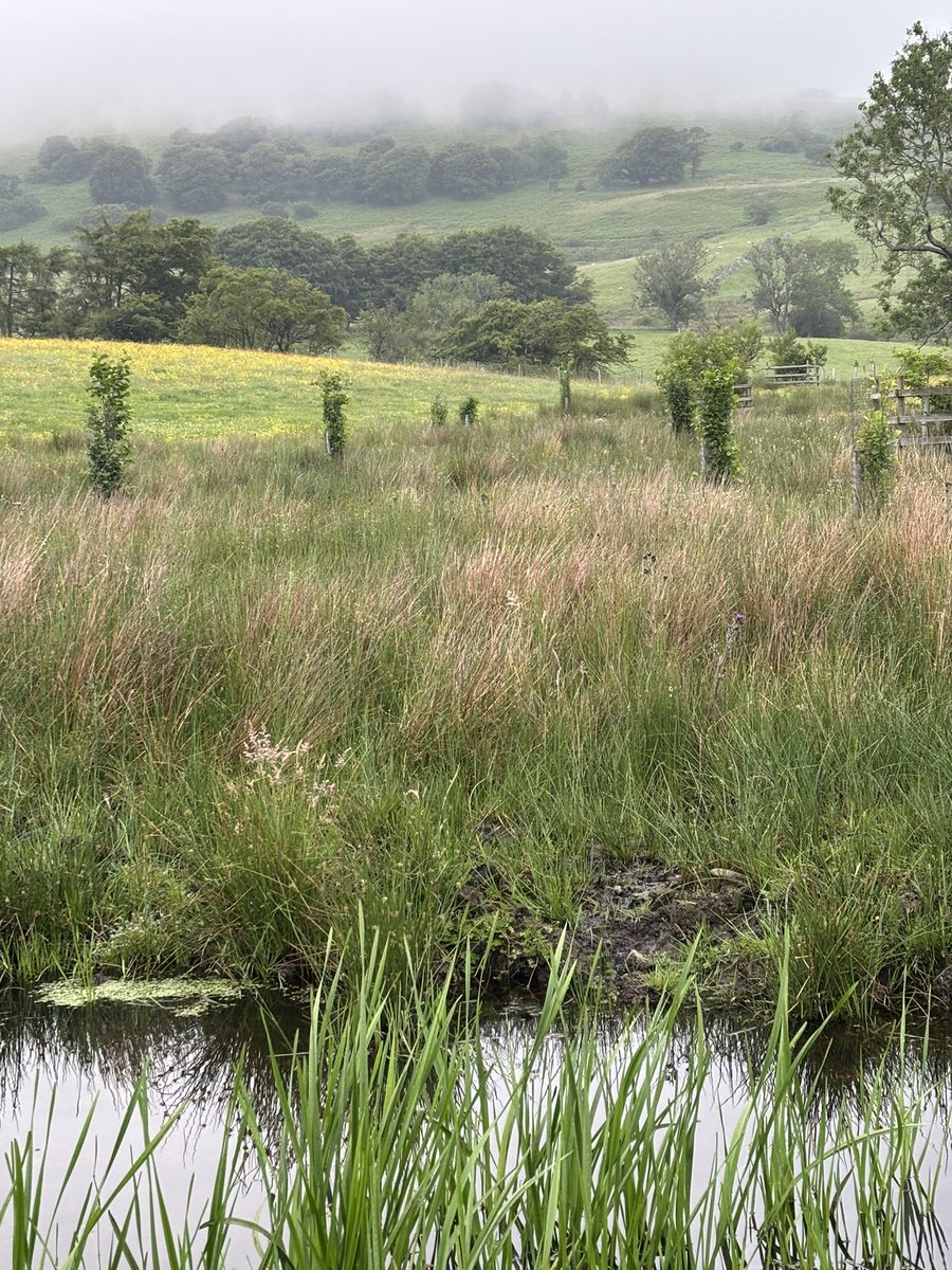 James Rebanks tweet media