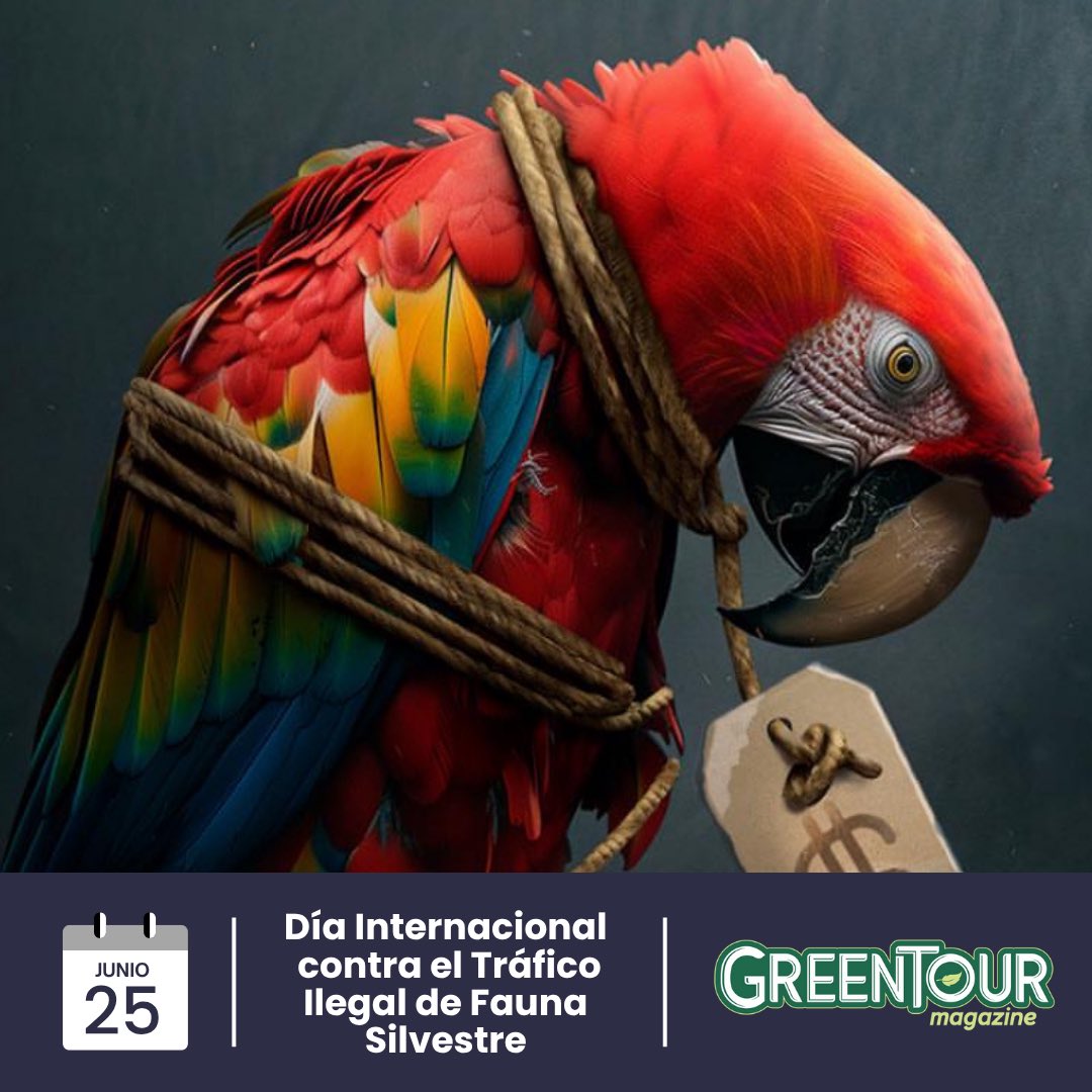 Cada año, miles de animales son víctimas del comercio ilegal, una de las mayores amenazas para la biodiversidad del planeta.
Proteger a las especies silvestres es proteger el equilibrio de nuestros ecosistemas.
🛑 Decí NO al tráfico de fauna.
📢 Informate, denunciá y sé parte del