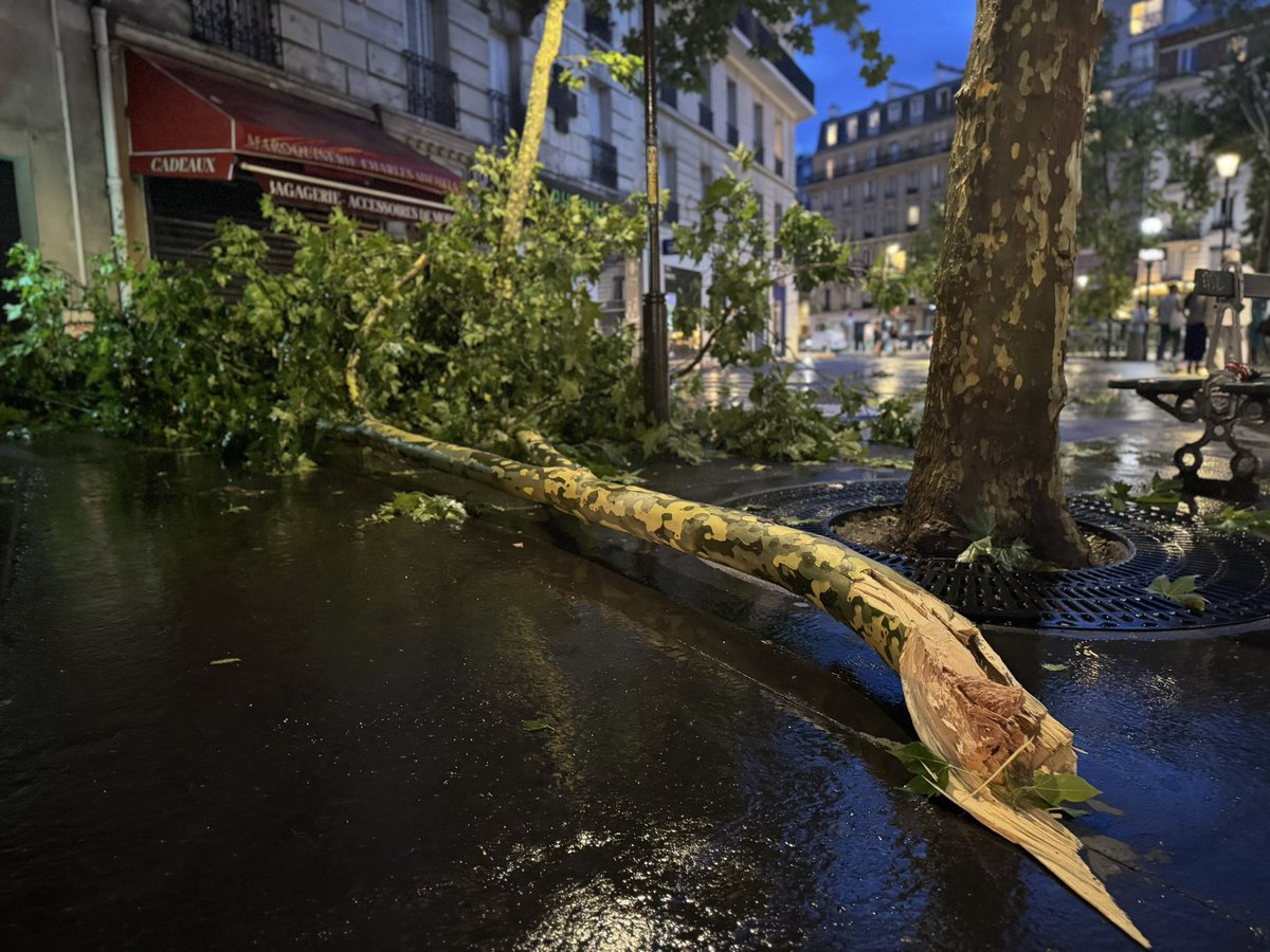 Paul Abran tweet media