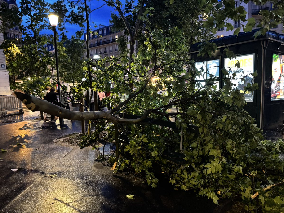 Paul Abran tweet media