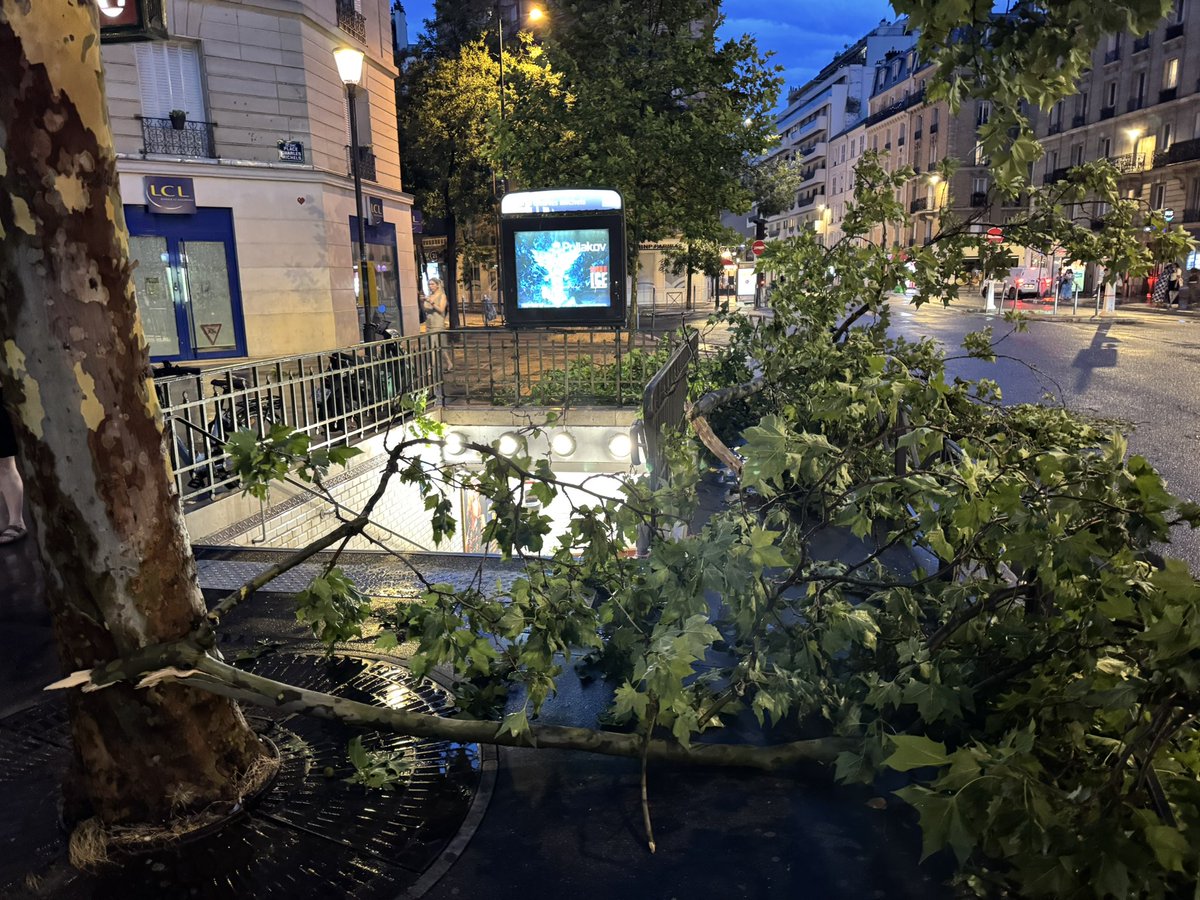 Paul Abran tweet media