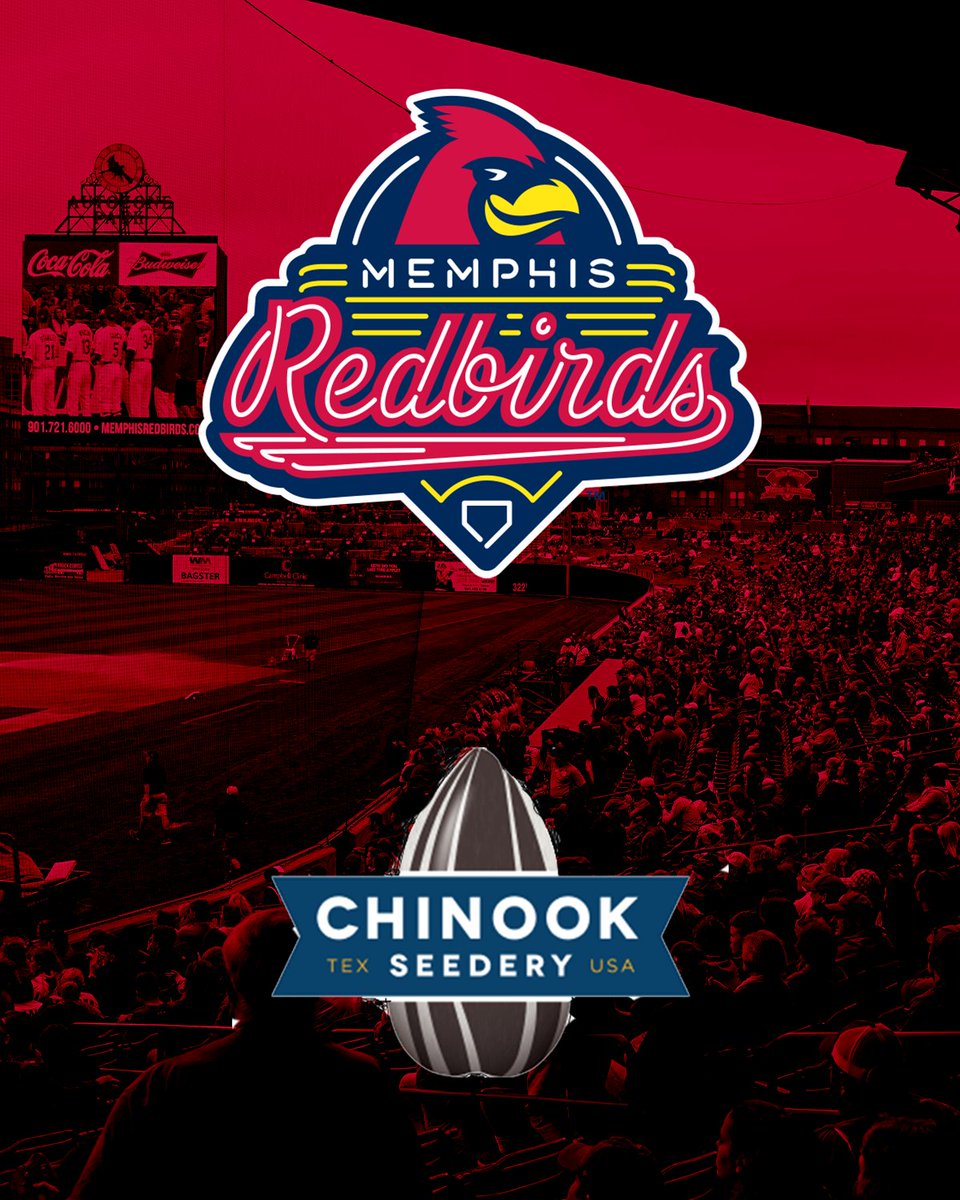 Memphis cracks Chinook. <a href="/ChinookSeedery/">Chinook Seedery Sunflower Seeds</a>  🔥