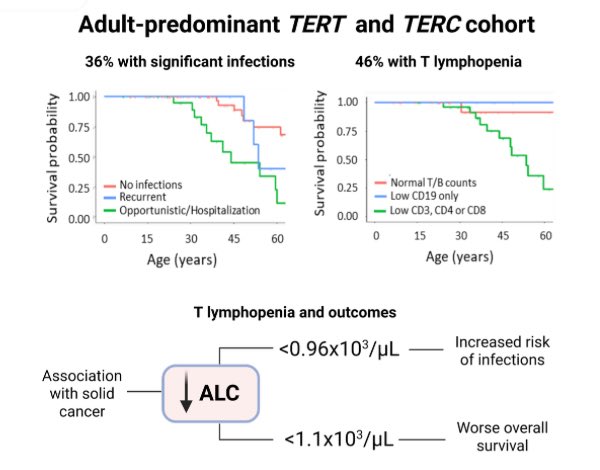 Emma M. Groarke (@emmamgroarke) on Twitter photo Excited to see our NHLBI work on infections and immunodeficiency in patients with #telomere biology disorders now published in <a href="/BloodPortfolio/">Blood Journals Portfolio</a>. >1/3 had significant infection history and nearly 1/2 t-lymphopenia. <a href="/FernandoCatto/">Fernando Catto</a> & <a href="/fergutierrezro1/">Fernanda Gutierrez-Rodrigues</a>. ashpublications.org/blood/article-… Excited to see our NHLBI work on infections and immunodeficiency in patients with #telomere biology disorders now published in <a href="/BloodPortfolio/">Blood Journals Portfolio</a>. >1/3 had significant infection history and nearly 1/2 t-lymphopenia. <a href="/FernandoCatto/">Fernando Catto</a> & <a href="/fergutierrezro1/">Fernanda Gutierrez-Rodrigues</a>. ashpublications.org/blood/article-…