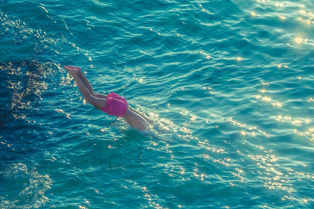 Max Pillet tweet media