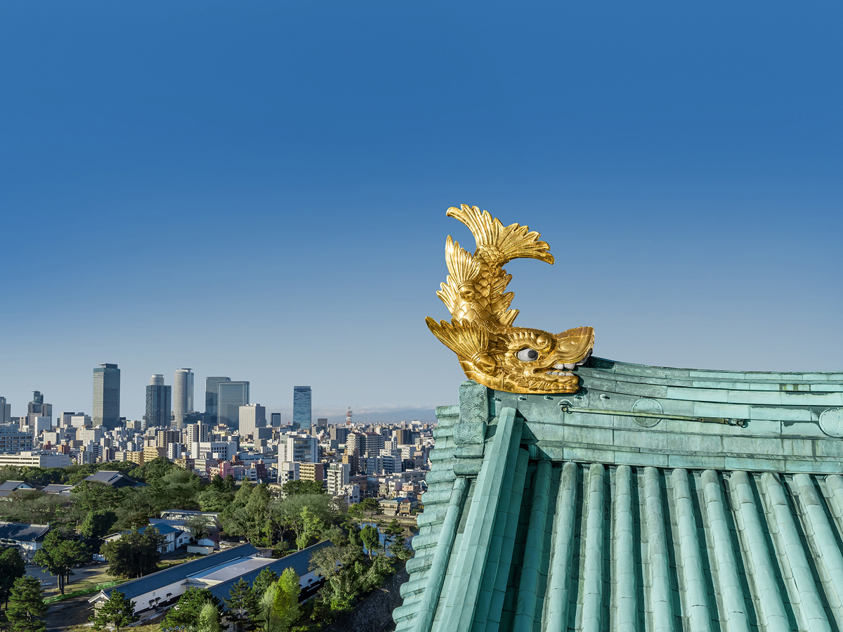 Thanks to the organizing team of IPCAI 2025 for their outstanding efforts in putting together a great program and bringing the community together in Berlin!

I’m happy to be joining the IPCAI 2026 organizing team, and I look forward to seeing you all in Nagoya!
#IJCARS #IPCAI26