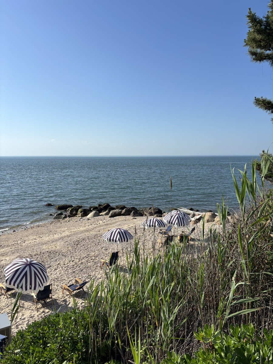 Marco DeMeireles tweet media