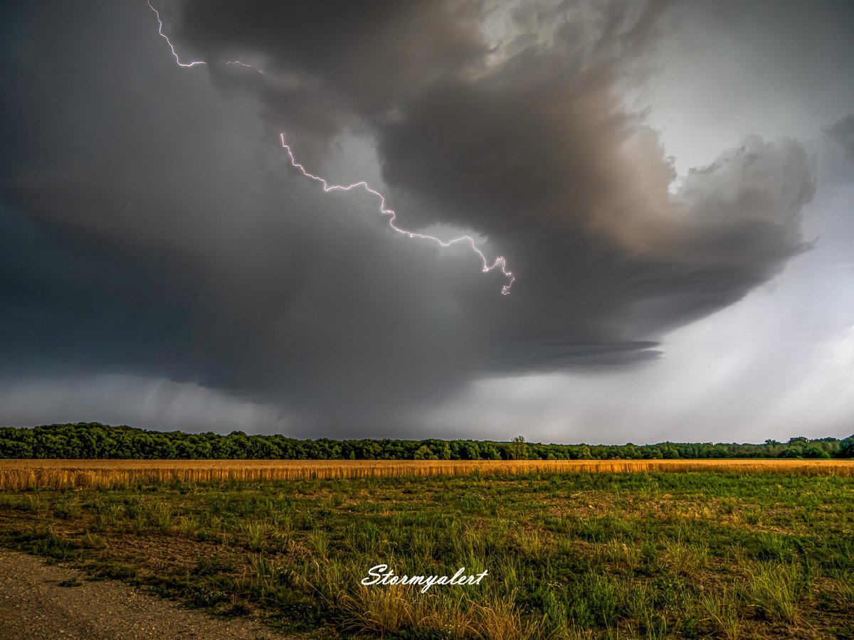 Supercelula cerca de Le Lude, Pays de la Loire, Francia ⛈️
<a href="/KeraunosObs/">Keraunos</a> <a href="/meteofrance/">Météo-France</a> 
#Weather #euwx #severewx #orage