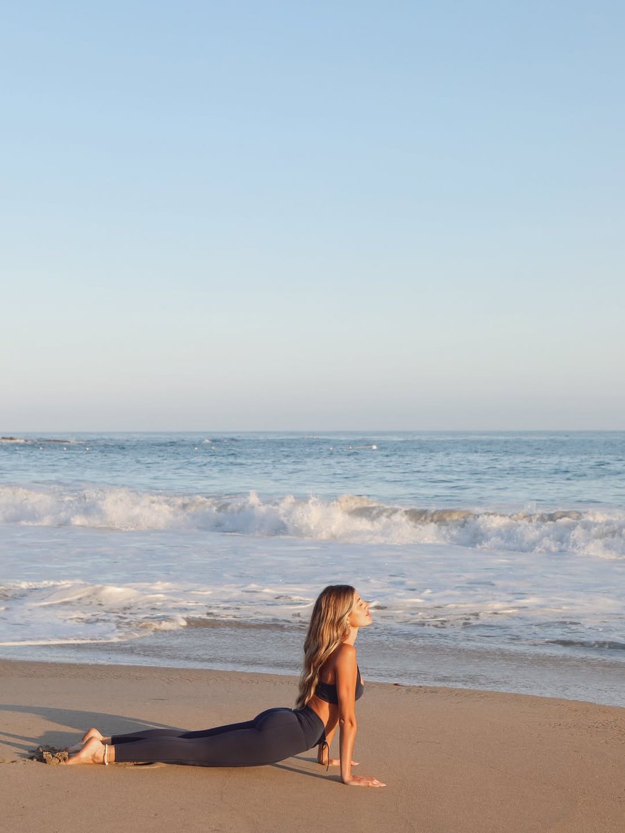 I am a seal basking in the sun.