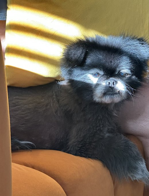 Watch Aaliyah Love🎀's leaked NSFW photo on TwXstars