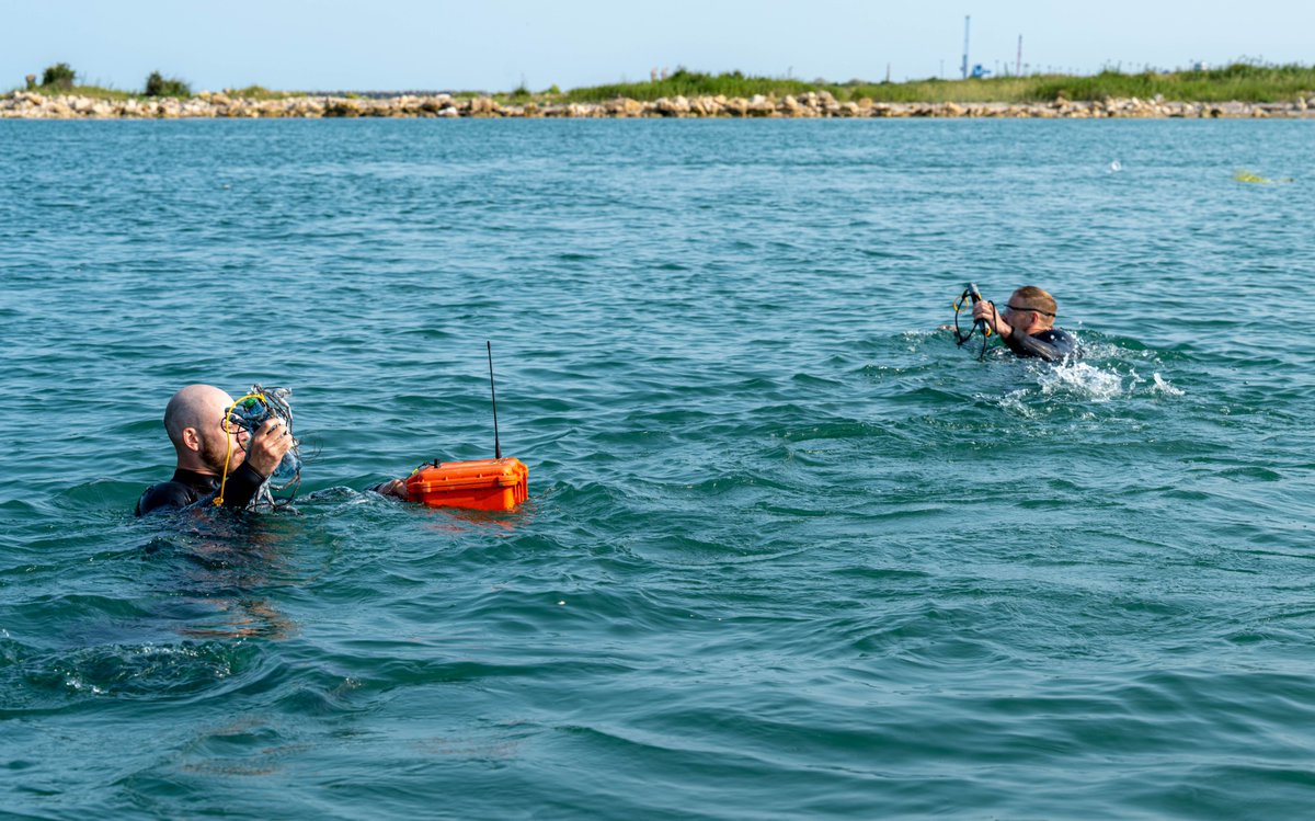 CJOC_COIC's tweet photo. Divers from Fleet Diving Unit - Atlantic are in Romania working with @NATO allies to keep Romanian territorial waters in the Black Sea safe from dangerous drifting sea mines as part of #OpREASSURANCE.
#StrengthinDepth https://t.co/dKKLNmrYGM