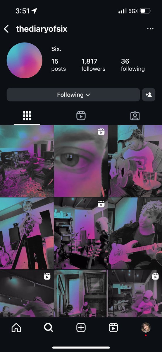 OH THE COLOR PALETTE I AM SO EXCITED