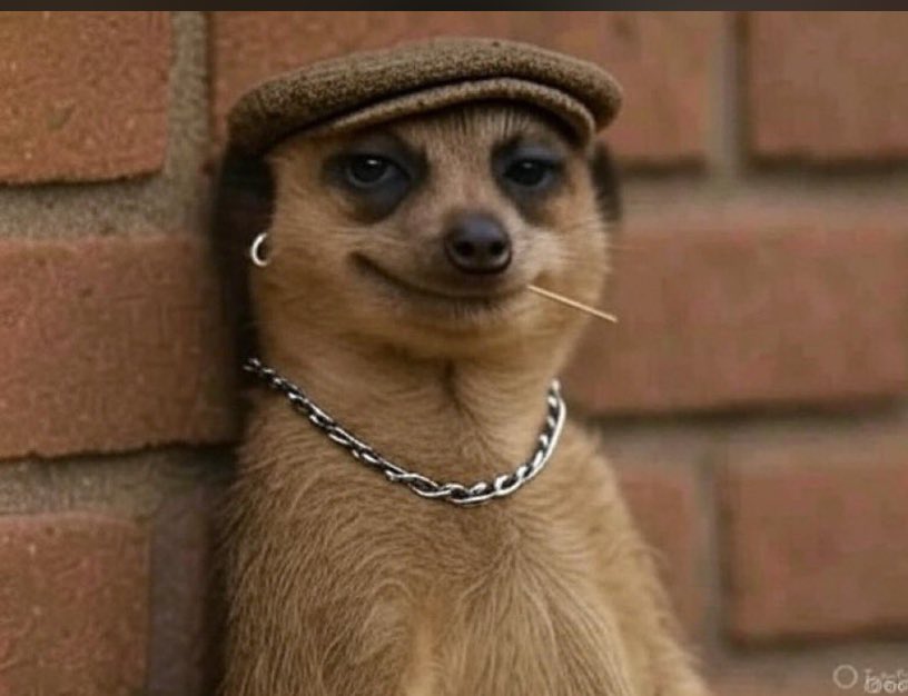 “Mhuri ye Zimbabwe ngatisanganei na 20.30 ndini wenyu…” 

Zimbabweans :