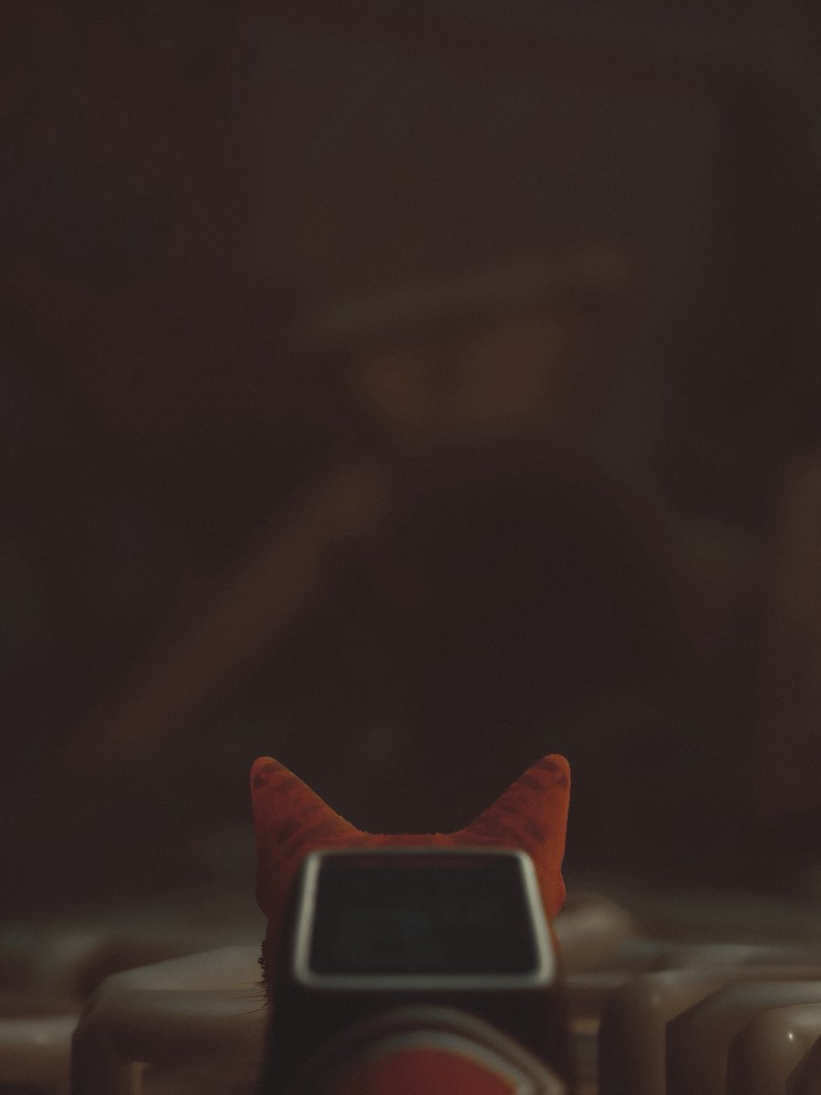 saskiaemmischVP's tweet image. Kittys view
#Stray #ThePhotoMode #VPRT #VGPUnite