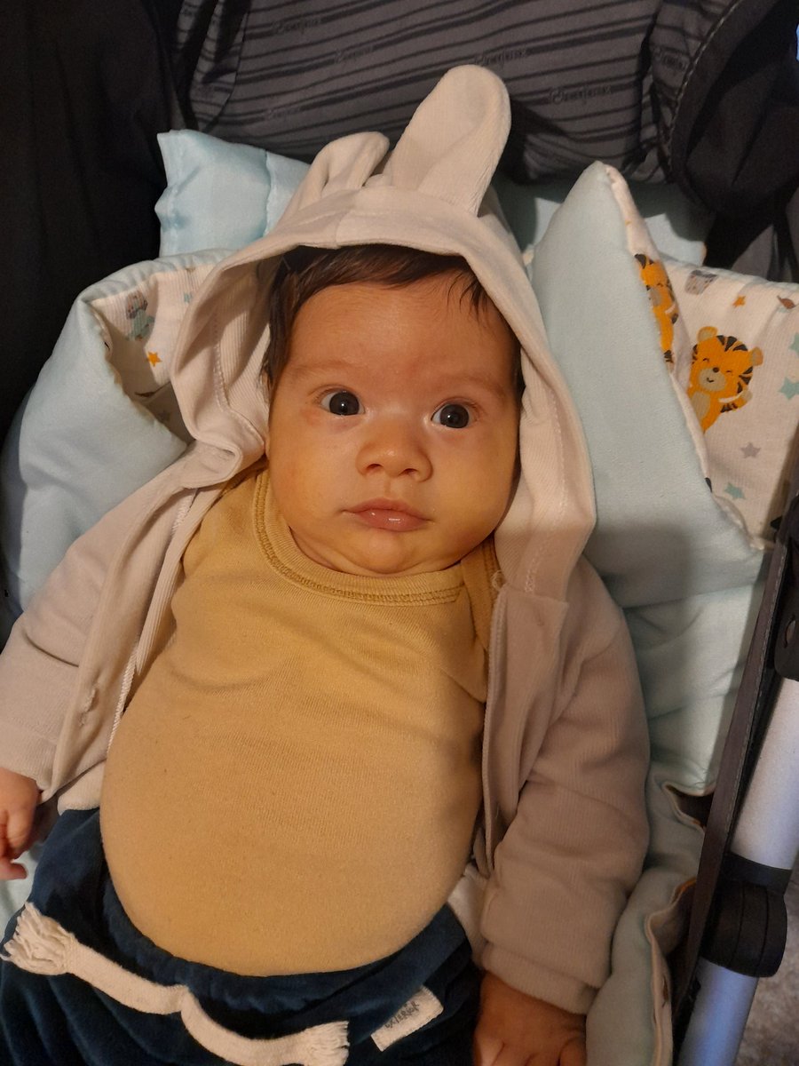 nunca creí que algo tan pequeño podría hacerme tan feliz