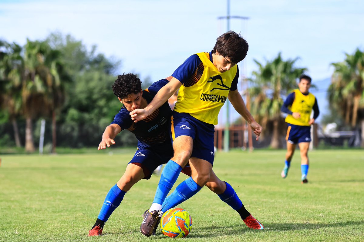 𝐃𝐀𝐋𝐄 𝐂𝐎𝐑𝐑𝐄🔥

#CorreXTusVenas🧡💙🤍