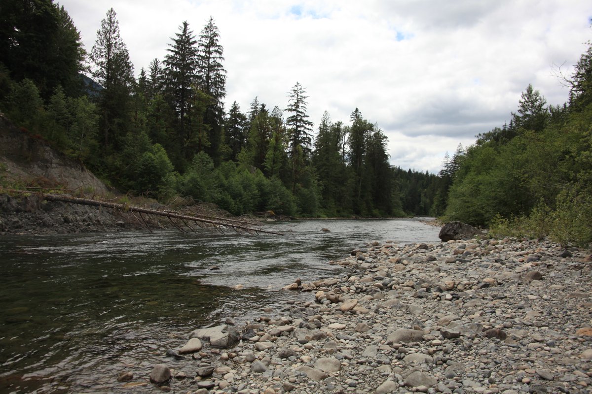 river pic for your wednesday