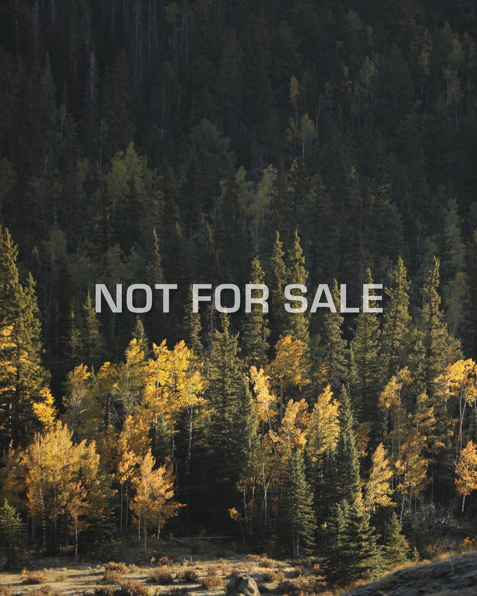 BearArchery's tweet image. Our founder, Fred Bear, believed in preserving wild places not just for the hunt, but for the soul. Now, it&apos;s our turn to fight to protect those sacred spaces by opposing the sale of ANY public land. 
 
Visit trcp.org/action-alert/u… to take action. #ProtectPublicLand