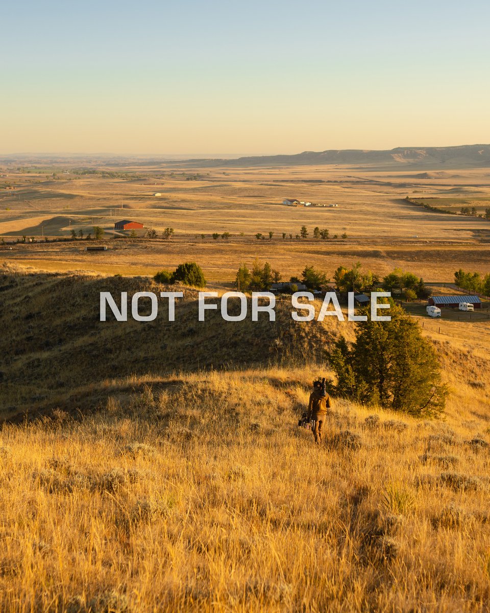 BearArchery's tweet image. Our founder, Fred Bear, believed in preserving wild places not just for the hunt, but for the soul. Now, it&apos;s our turn to fight to protect those sacred spaces by opposing the sale of ANY public land. 
 
Visit trcp.org/action-alert/u… to take action. #ProtectPublicLand