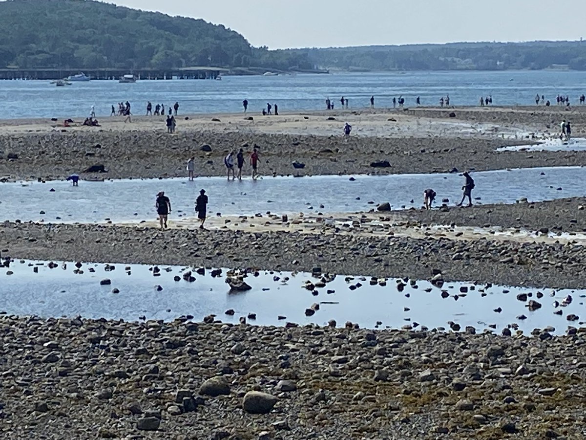 notamainer's tweet photo. The sand bar that Bar Harbor, Maine is named after, as of this afternoon. #BarHarbor https://t.co/aXT5fPCnd6