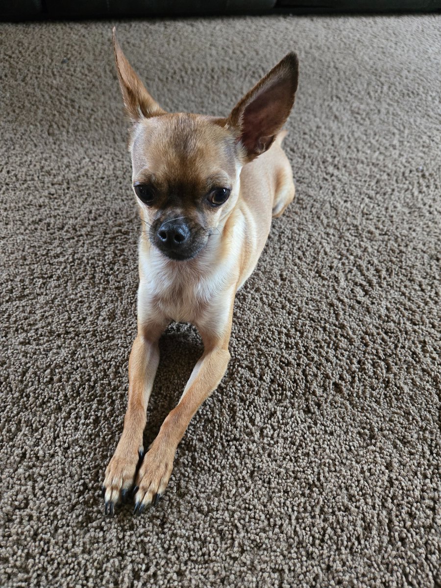 Such a good boy!