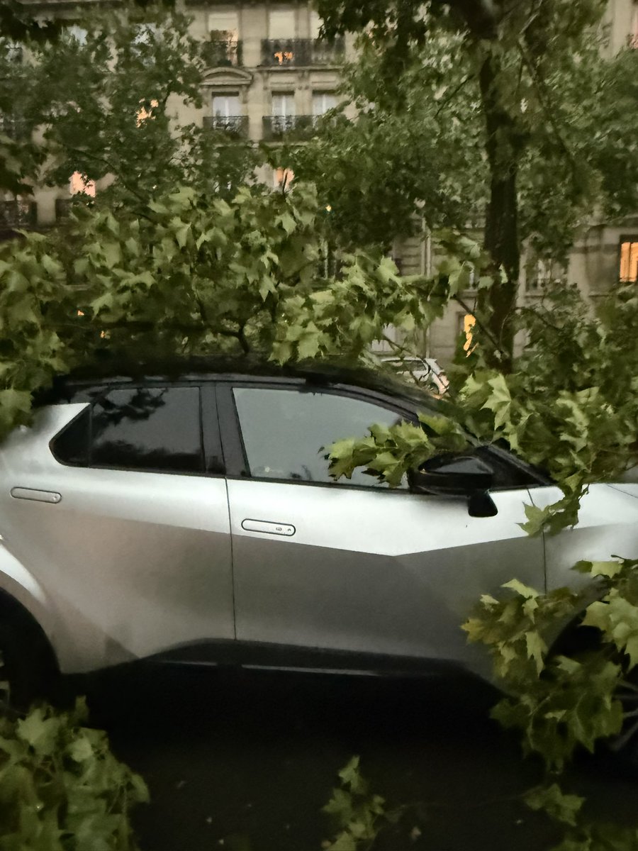 guellaty's tweet photo. Paris Exelmans ! Cataclysme https://t.co/l5PiXMwfKk
