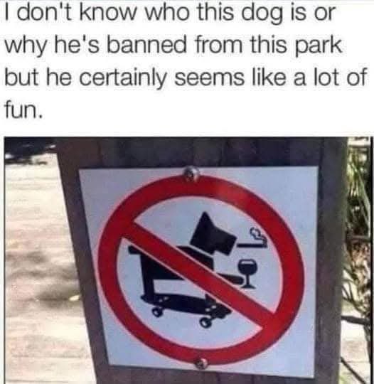 This dog can hang with me anytime🤣🤣🤣