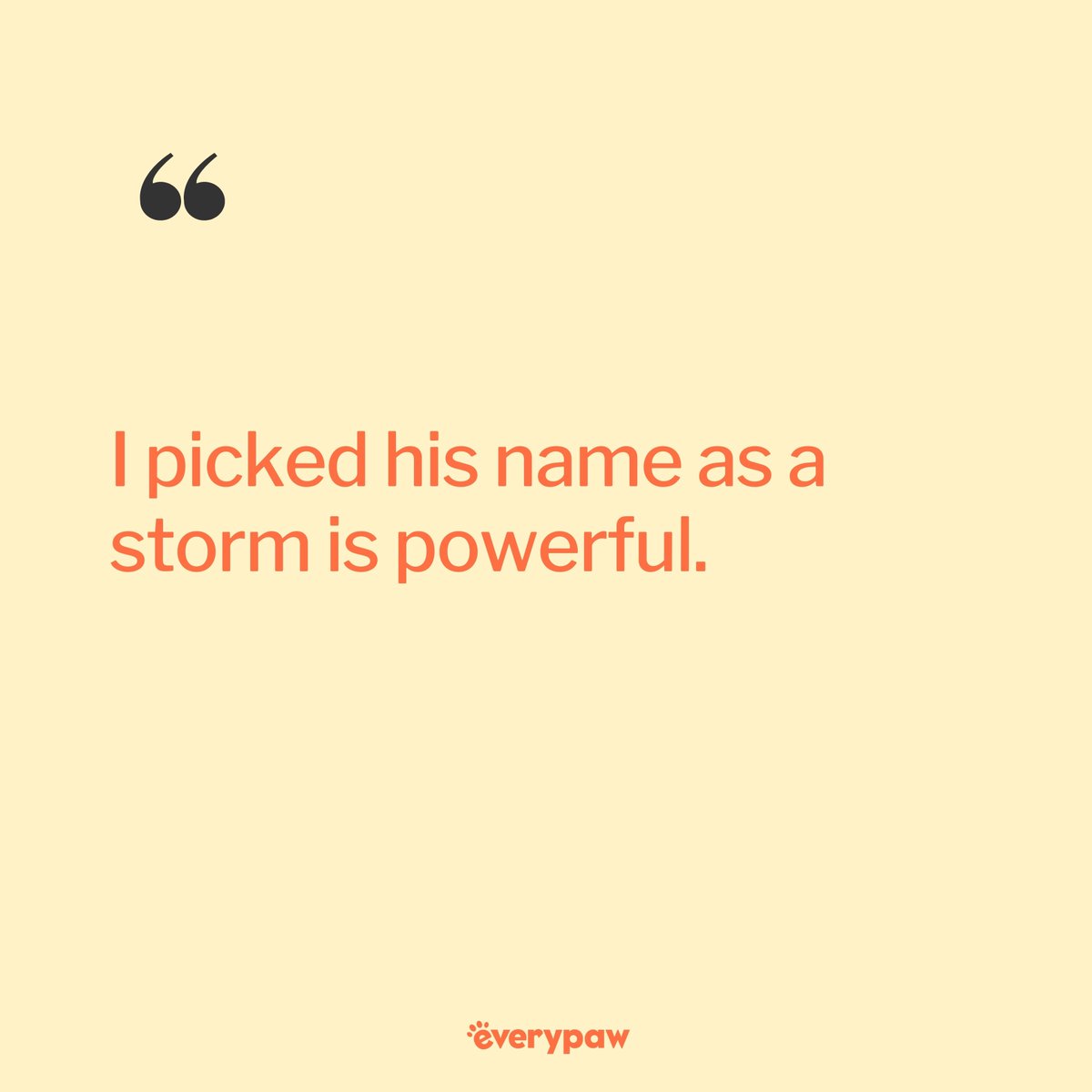 Everypaw tweet media