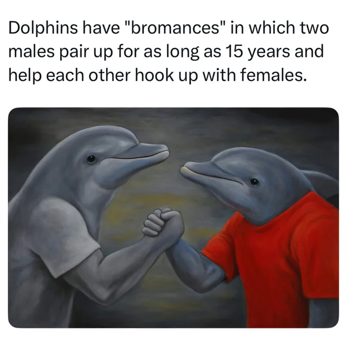 Pretzel’s Dad tweet media