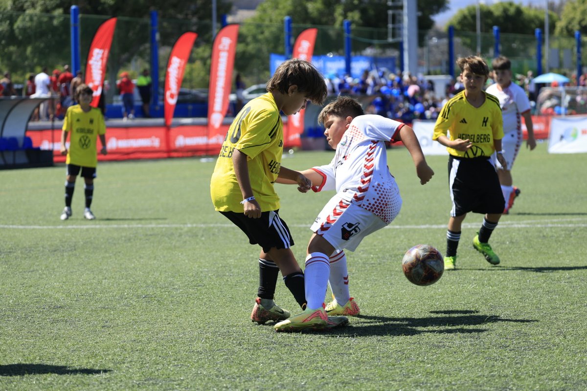 TeldeporteCom tweet media