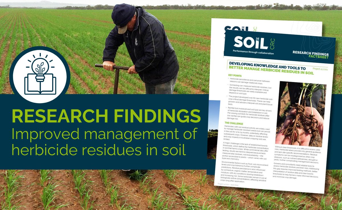 SoilCRC's tweet image. Soil testing can measure herbicide residues, but results can be difficult to interpret. Soil CRC researchers developed over 80 new herbicide-soil-crop critical damage thresholds to help growers & advisers make sense of soil & plant tissue tests. Read more: soilcrc.com.au/resources/tool…