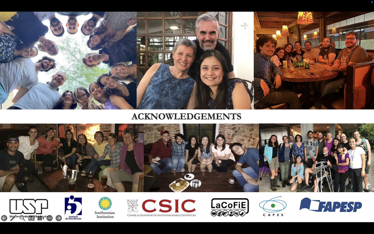 Caroline Guevara-Molina tweet media