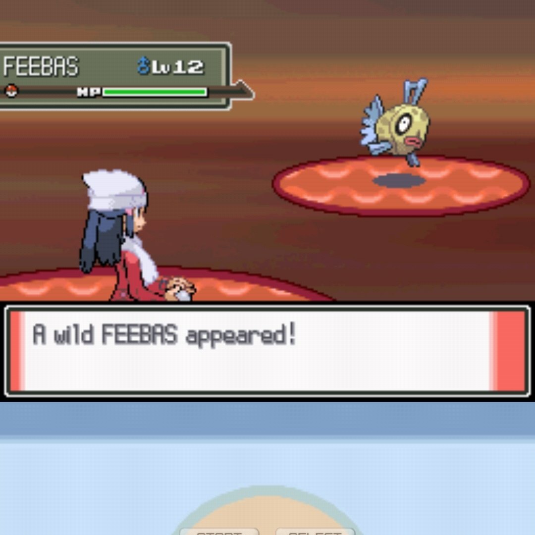 O que será que vem primeiro?
Feebas shiny
Magikarp shiny
Minha loucura
