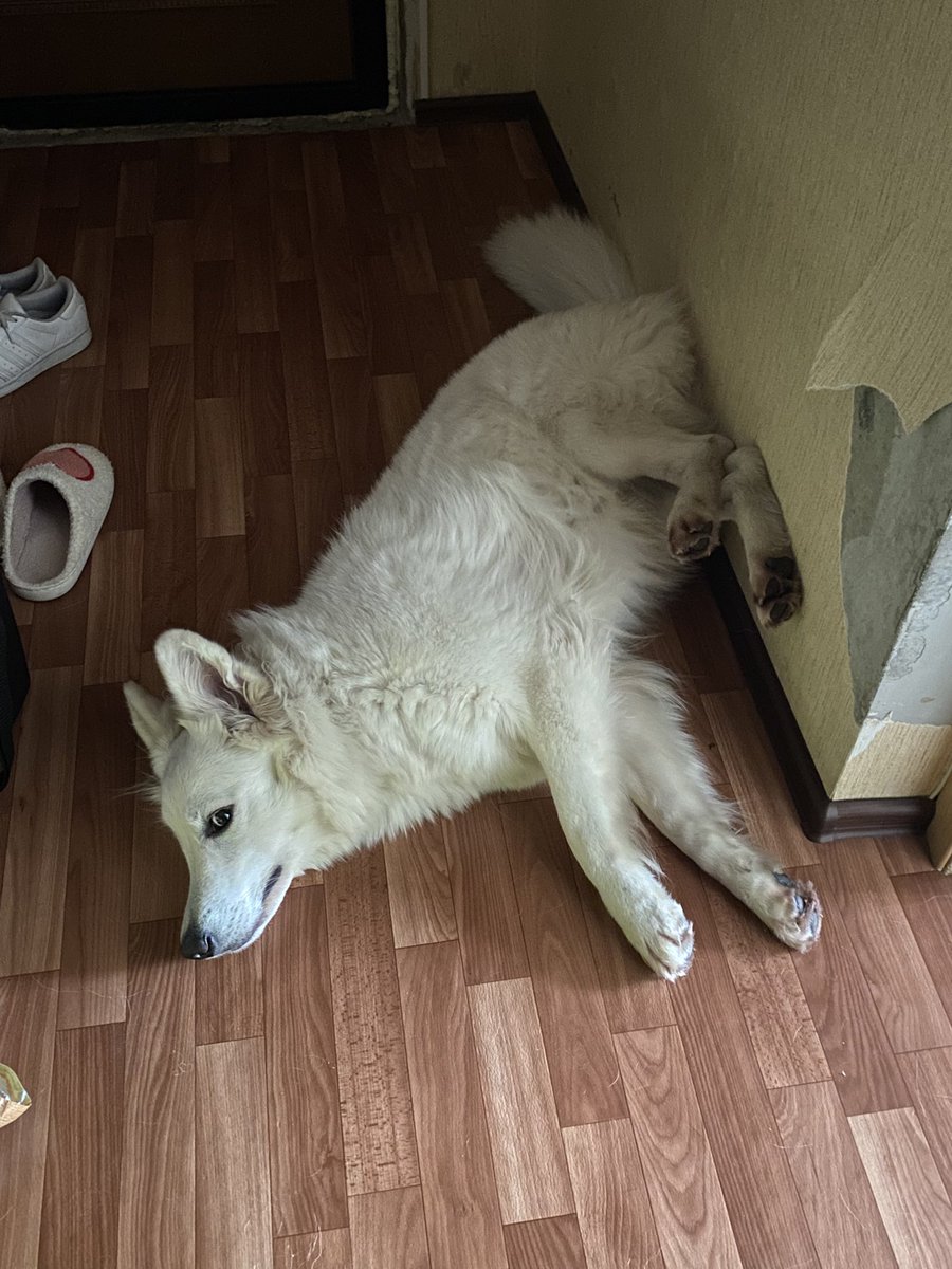 она совершенно точно не знает кто отодрал кусок обоев