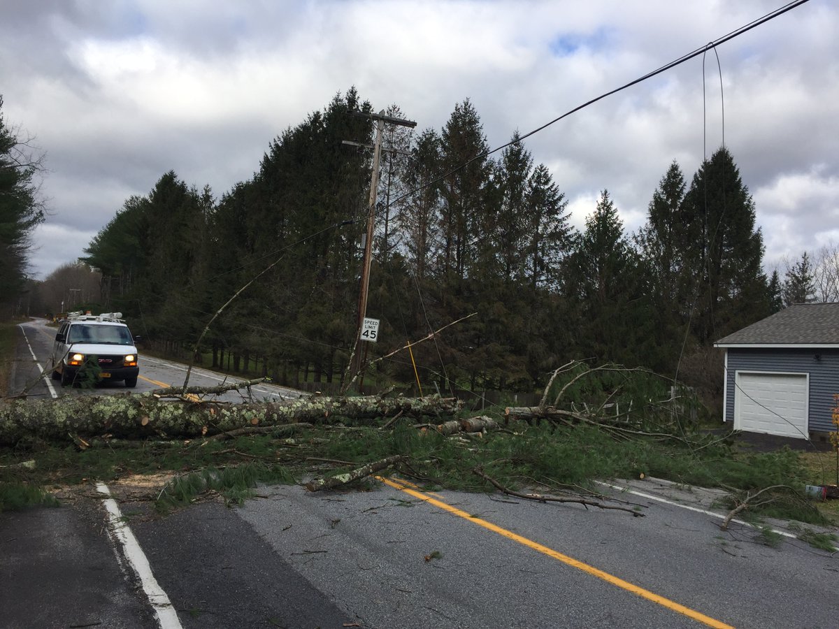 Take caution when approaching fallen trees, which could have power lines caught in them. 

Remember that water can conduct electricity. If you see a line down in a puddle or flooded area, avoid contact with the water to prevent risk of shock.