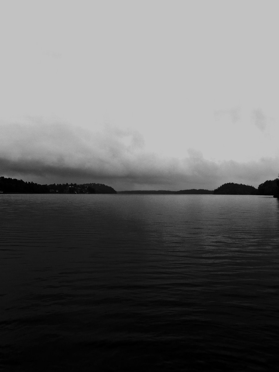 Shifting shades. 🩶