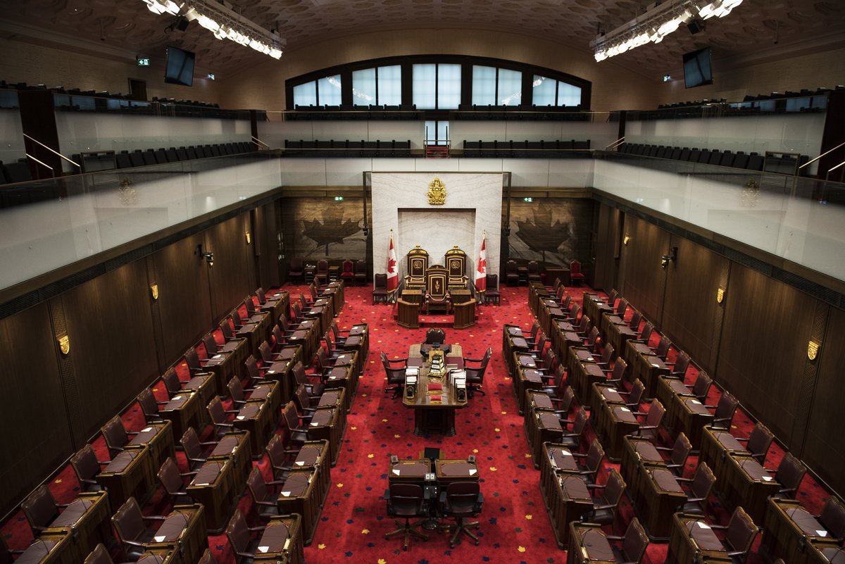 Honoured to have been elected Deputy Chair of the Senate’s Audit and Oversight Committee - the only committee in the Commonwealth and Westminster system to have non-parliamentarians sit as expert committee members.

Also, once again pleased to be named to the Steering Committee