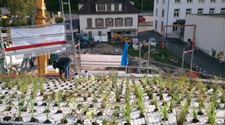 CLOVEKVTISNI's tweet image. Jak vypadá město, které se přizpůsobuje dopadům změny klimatu chytře a udržitelně? 💚

V rámci projektu #ELCA – Empowering Local Climate Action jsme se společně s našimi partnery z Rumunska zúčastnili studijní cesty do Německa, kde jsme se inspirovali příklady zelených