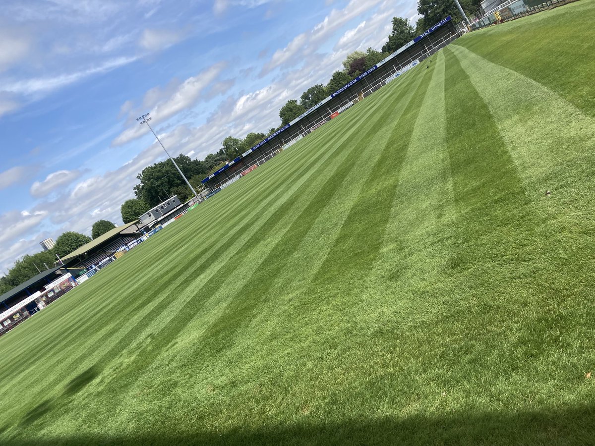 Jordan buckland tweet media