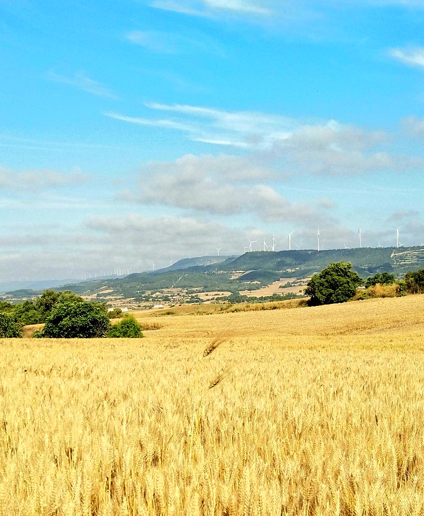 ArassaTRural tweet picture